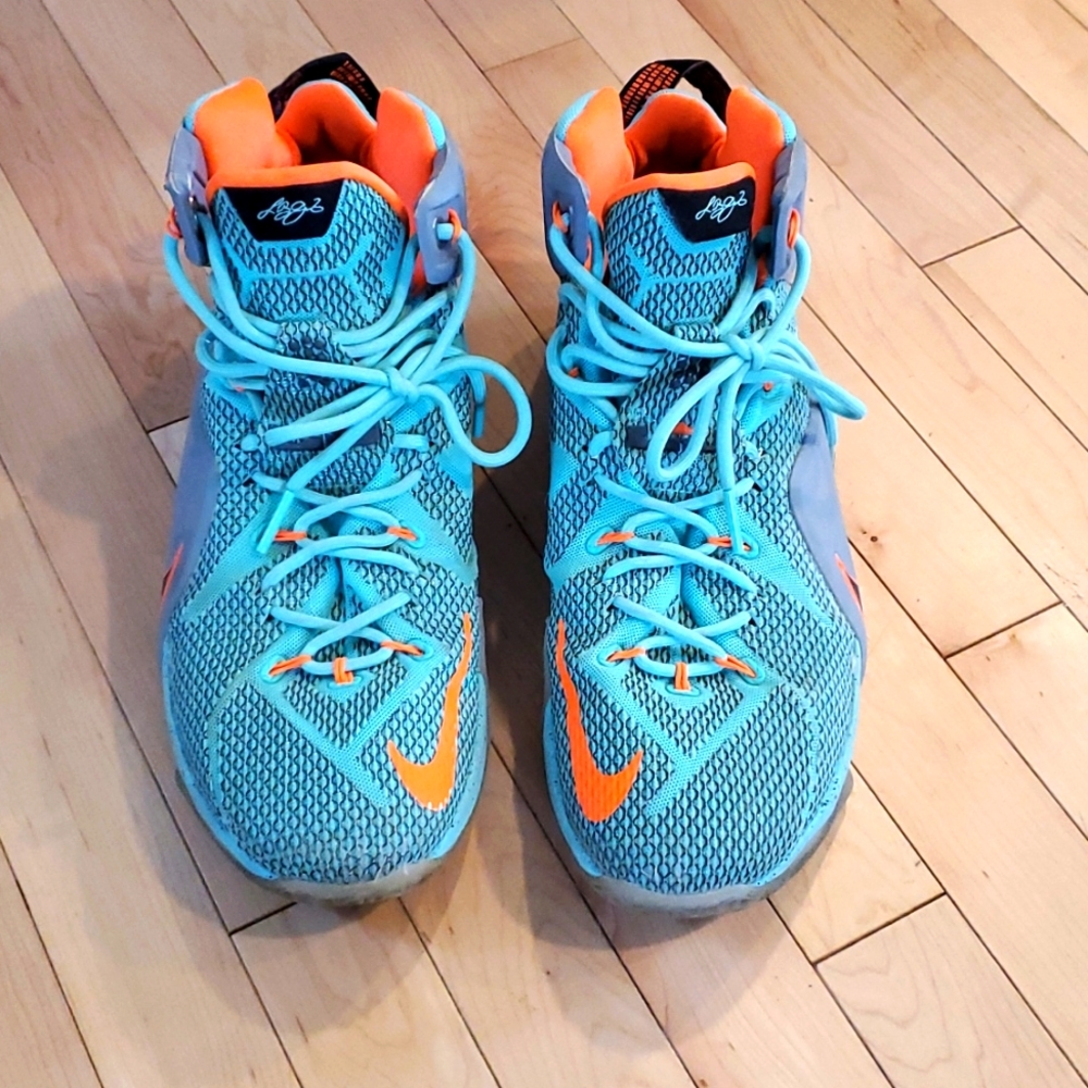 LeBron James basketball shoes